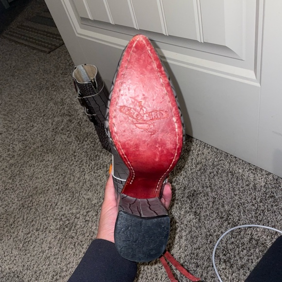 Freebird by Steven { Joeys } - Picture 4 of 6